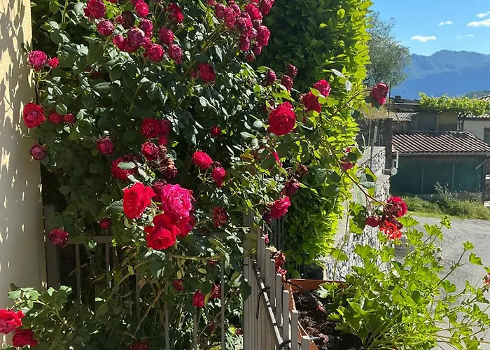 Panoramica Di Апартаменты Colonno